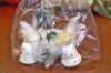 advent_2014_01_small.jpg