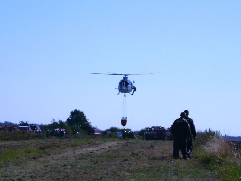 bambivak_stremy_01092009_10.jpg