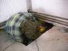 brigada_09042011_09_small.jpg