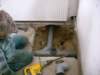 brigada_09042011_12_small.jpg
