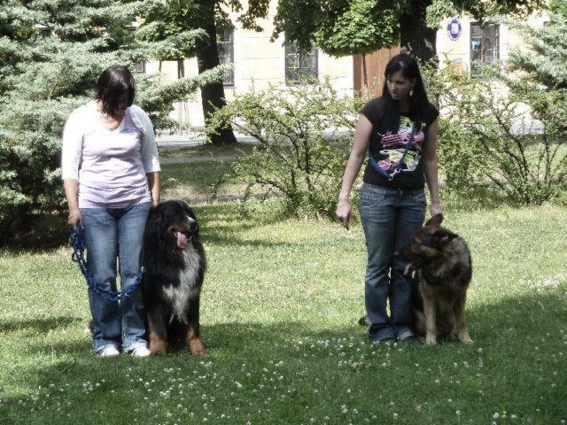 den_deti_2011_23.jpg