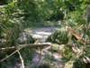 kokorinsko_vichrice_20082009_03_small.jpg