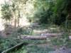 kokorinsko_vichrice_20082009_08_small.jpg