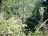 kokorinsko_vichrice_20082009_09_small.jpg