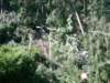 kokorinsko_vichrice_20082009_12_small.jpg