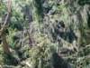 kokorinsko_vichrice_20082009_17_small.jpg