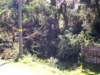 kokorinsko_vichrice_20082009_19_small.jpg