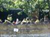 kokorinsko_vichrice_20082009_21_small.jpg