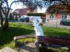 coronavir_2020_02_small.jpg