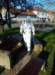 coronavir_2020_06_small.jpg