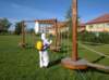 coronavir_2020_23_small.jpg