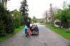 wimmer_40_18052103_04_small.jpg