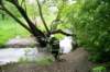 wimmer_40_18052103_14_small.jpg