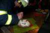 wimmer_40_18052103_20_small.jpg