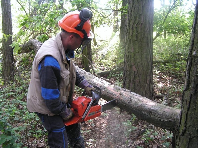 pila_2005_08.jpg