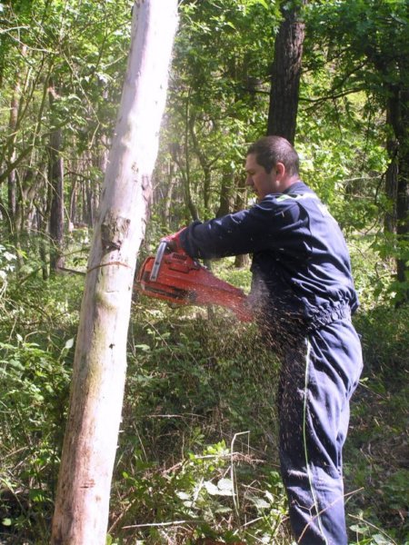 pila_2005_19.jpg