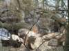 pila_vycvik_2008_13_small.jpg