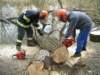 pila_vycvik_2008_17_small.jpg