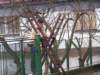povodne_02042006_03_small.jpg
