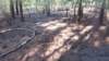 pozary_leto_2015_02_small.jpg