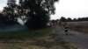 pozary_leto_2015_09_small.jpg