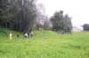 ahoj_prazdniny_28082010_05_small.jpg