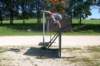 skoleni_tanvald_2011_13_small.jpg