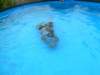 tanvald_2012_09_small.jpg