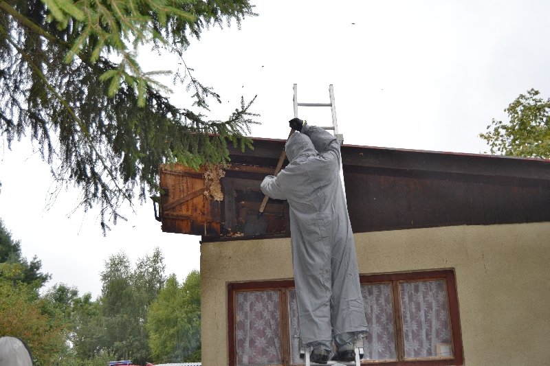 srsni_hnizdo_26082014_06.jpg