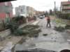vichr_ema_2008_03_small.jpg