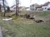 vichr_ema_2008_05_small.jpg