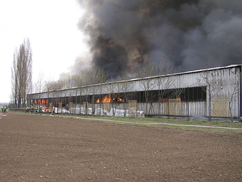 vranany_2006_01.jpg
