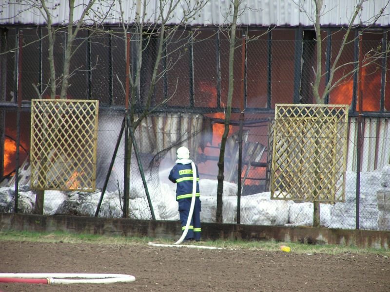 vranany_2006_04.jpg